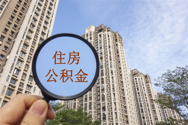 公积金怎么一次性全部提取-石家庄公积金代办平台